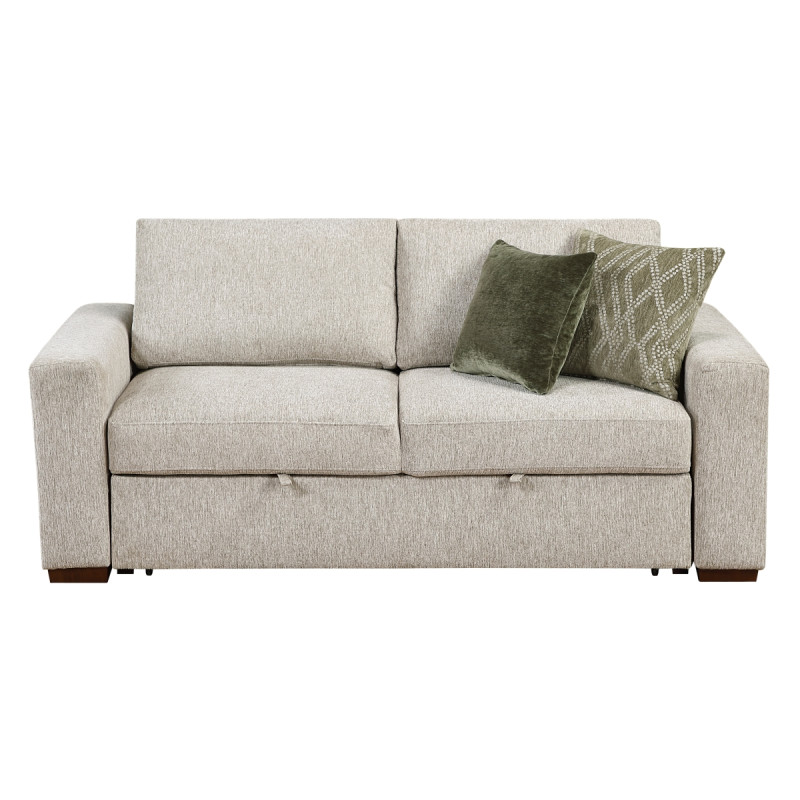 8548*22ACLA Love Seat with Pull-out Bed and Click Motion Back