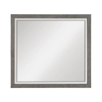 1366-6 Mirror