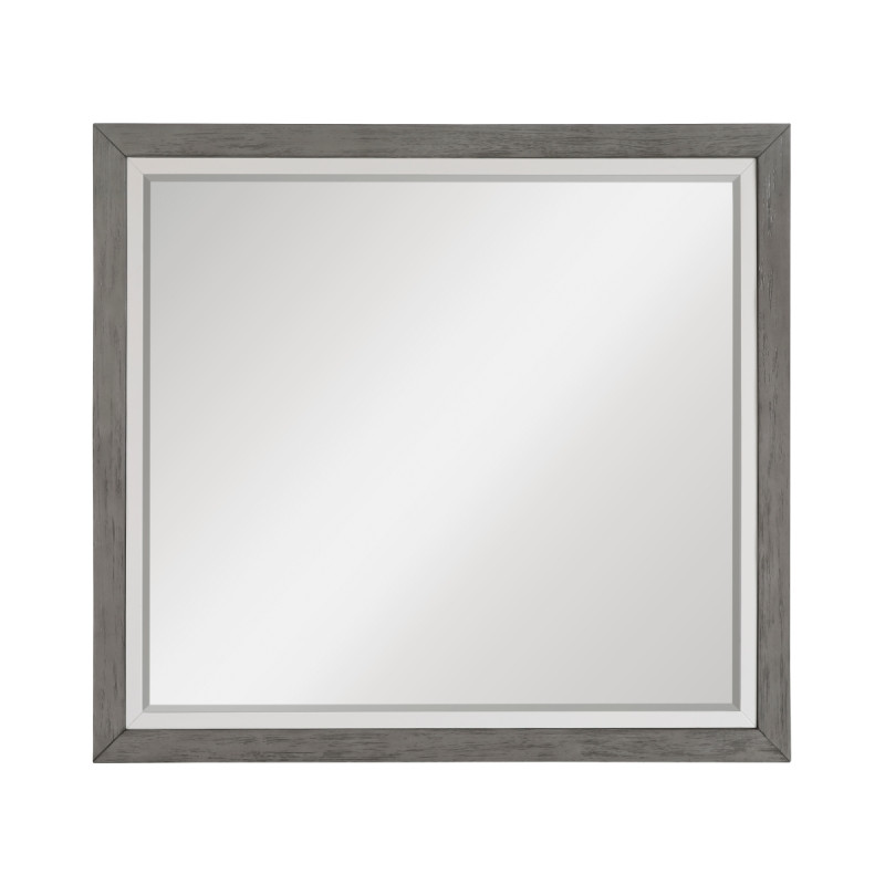 1366-6 Mirror