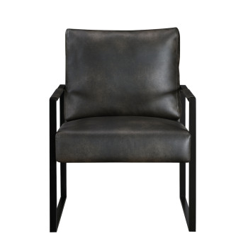 1011DGY-1 Accent Chair