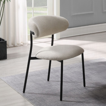 DN03677 Jirina Side Chair
