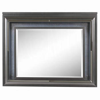 27974 Sawyer Mirror W/Led