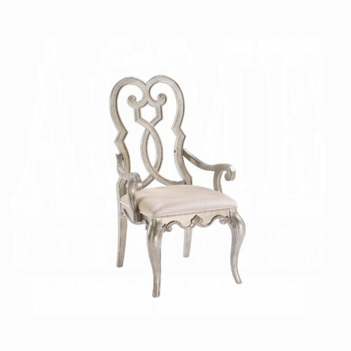 62203 Esteban Arm Chair