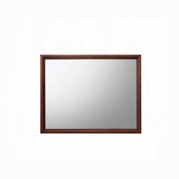 20404 Ilana Mirror