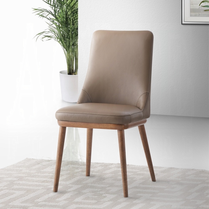 DN02401 Rashean Side Chair