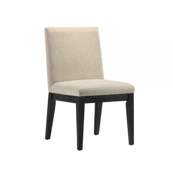 DN01803 Froja Side Chair (Set-2)