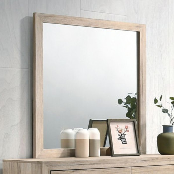28044 Miquell Mirror