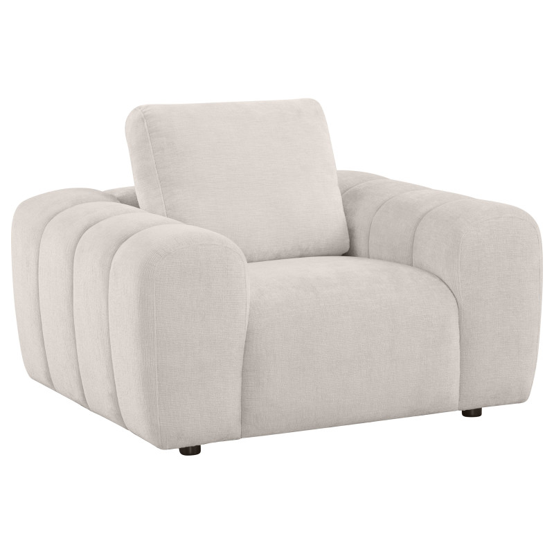504957 Burnett Chenille Upholstered Accent Chair Ivory