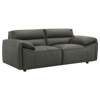 509505 Buxton Top Grain Leather Upholstered Loveseat Graphite