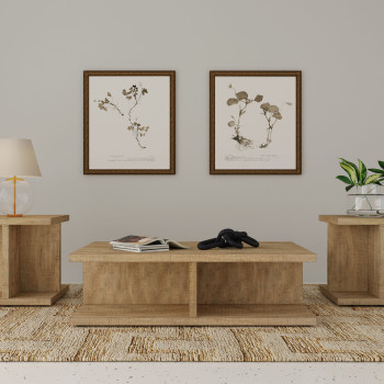 706178-S3 Cortona 3-piece Coffee and End Table Set Mango