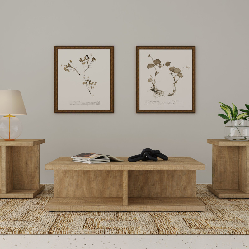 706178-S3 Cortona 3-piece Coffee and End Table Set Mango