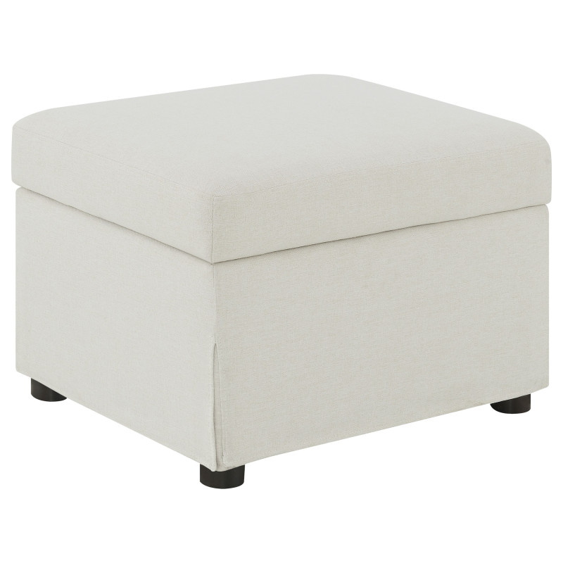 904134 Winter Upholstered Hydraulic Lift Top Storage Ottoman Beige