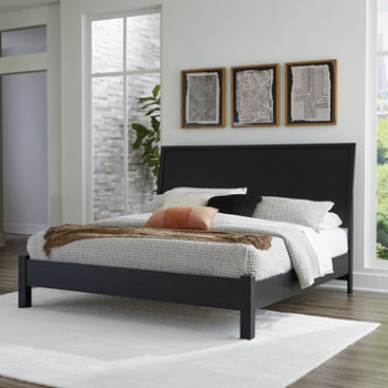 B1013-58-156-B100-14 Danziar King Panel Bed