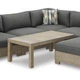 P660-875(2)-846(2)-877-814 CITRINE PARK Outdoor Sectional