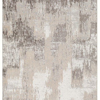 R405562 Arriston Medium Rug