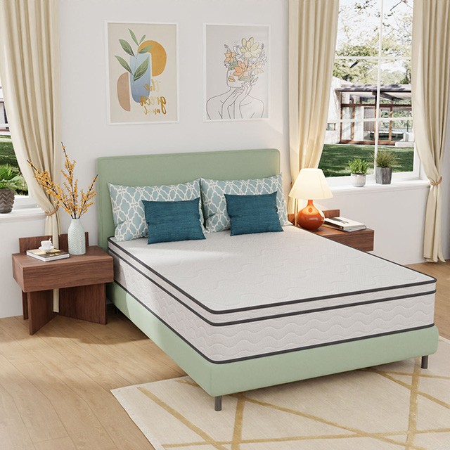 DM912-Q Catmint Mattress
