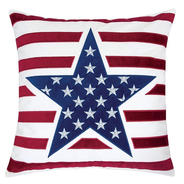 PL8091 TEXIS ACCENT PILLOW