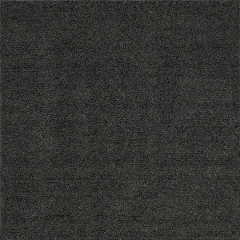 RG8175S CAMARA AREA RUG