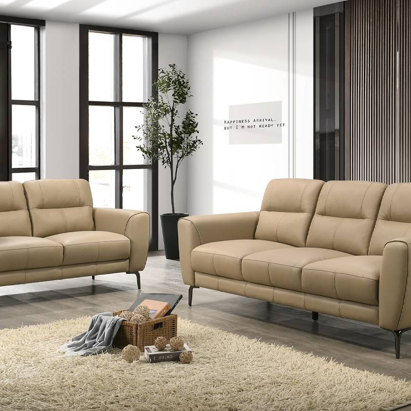 F8420 2-Piece Sofa Set