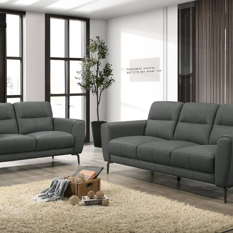 F8419 2-Piece Sofa Set