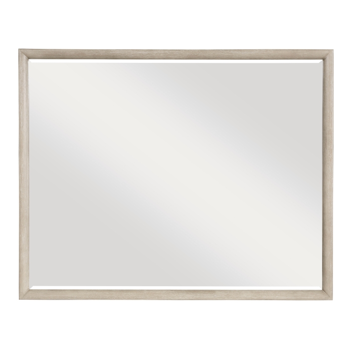 1820N-6 Mirror
