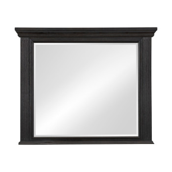 1647-6 Mirror