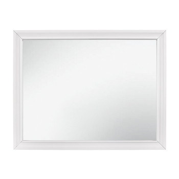 1505W-6 Mirror