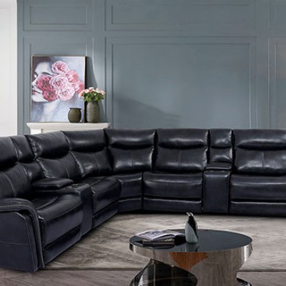 CM9904 BRAYLEE POWER SECTIONAL