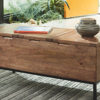 A4000310 Braddick Storage Trunk