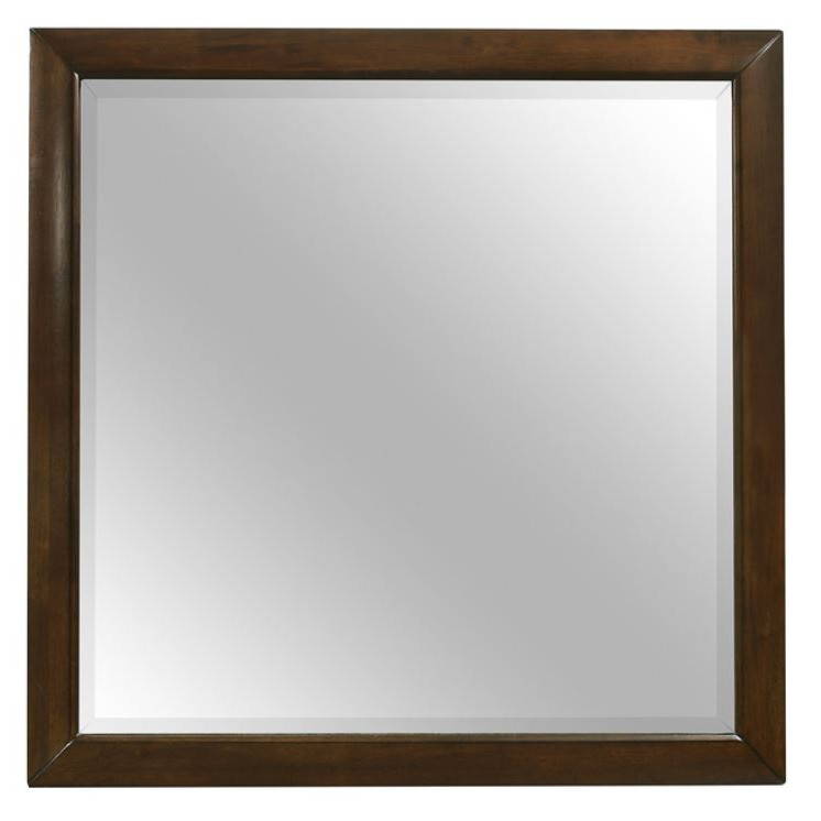 1535-6 Mirror