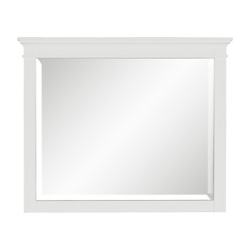 1675W-6 Mirror