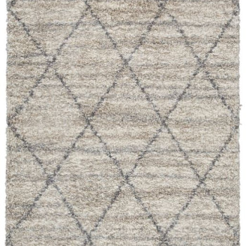 R404622 Medium Rug