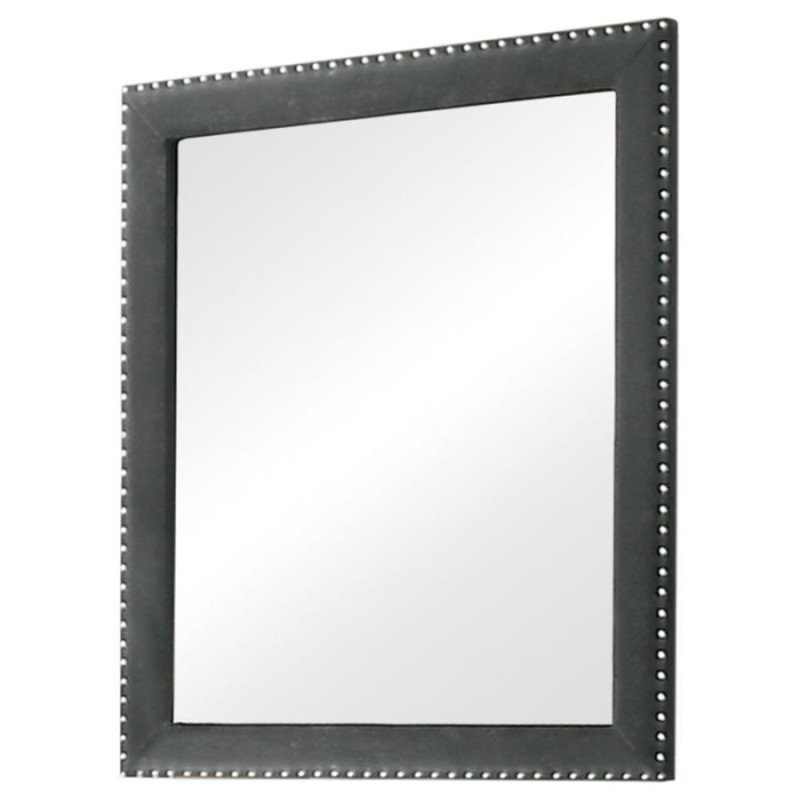 223384 MIRROR