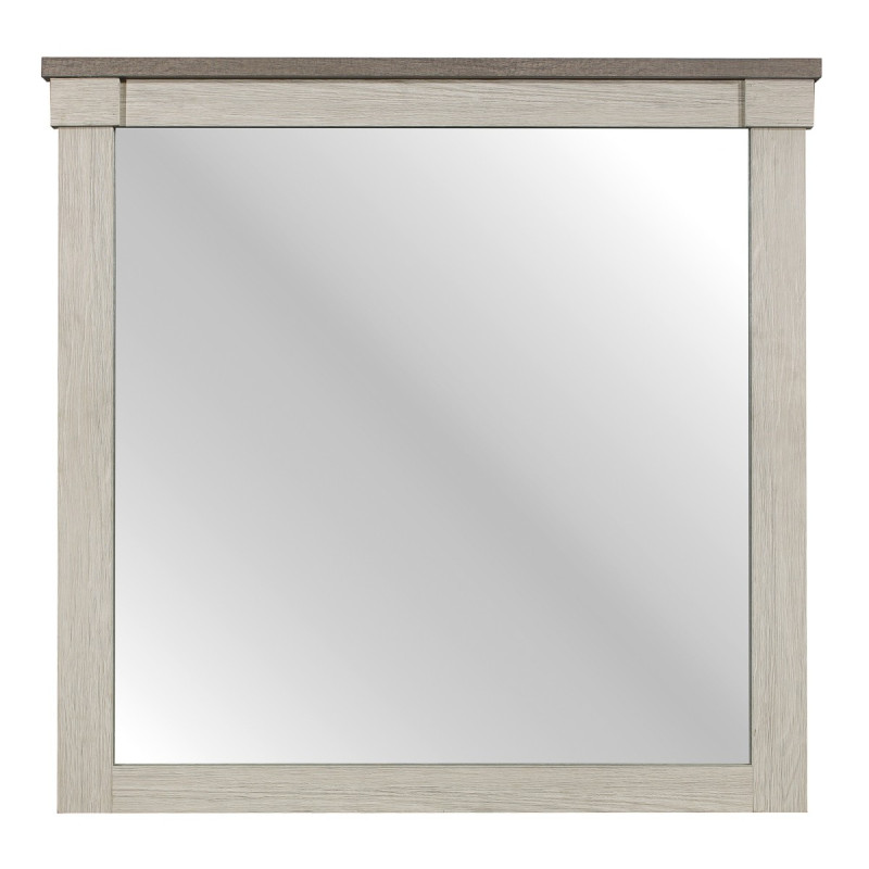 1677-6 Mirror