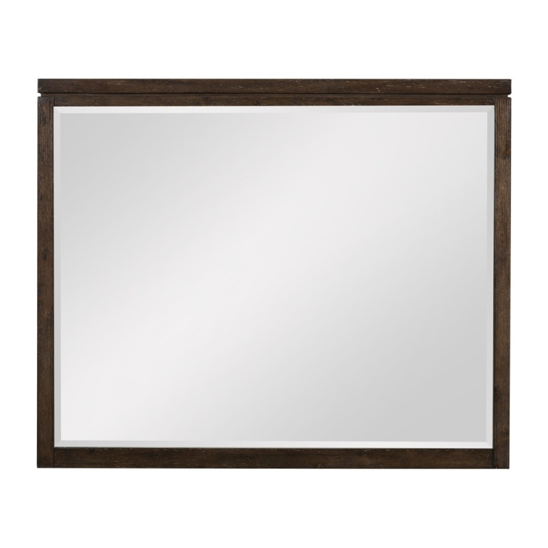 1669-6 Mirror
