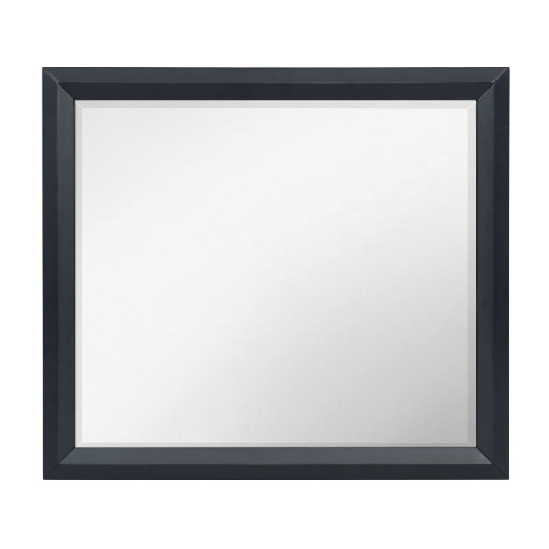 1553-6 Mirror