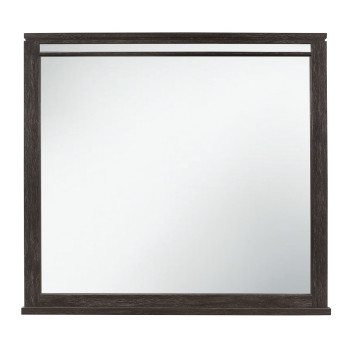 1518-6 Mirror