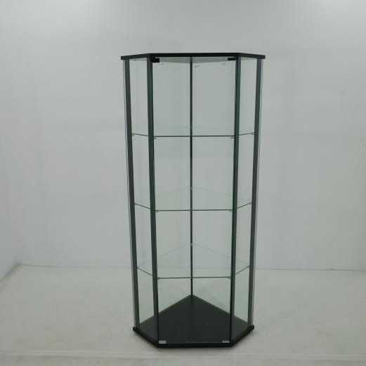 953234 CURIO CABINET