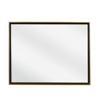 223264 MIRROR