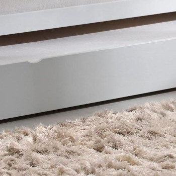 Cominia Collection 39083 Twin Size Daybed Trundle