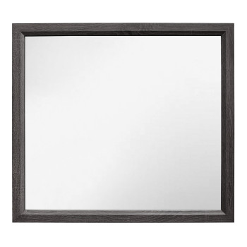 1645-6 Davi Mirror - Gray