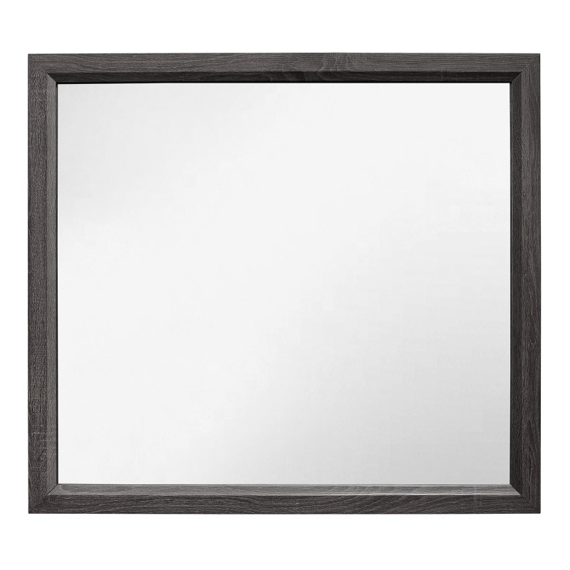 1645-6 Davi Mirror - Gray