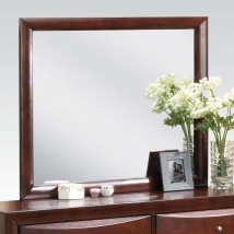 21454 MIRROR