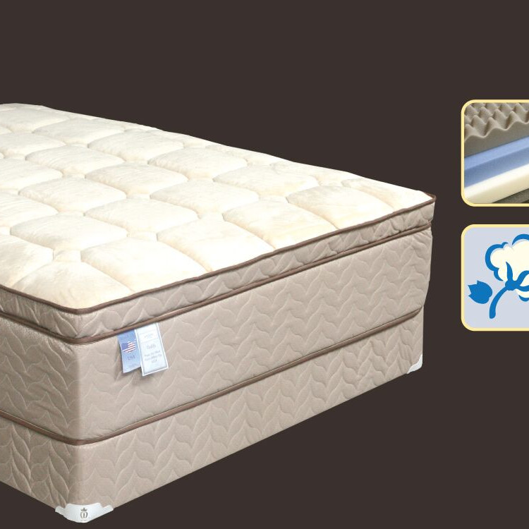 Teddy Euro Pillowtop 16” Twin