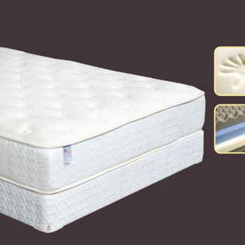 Swan Non-Flip 12” Twin