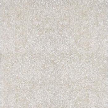 ANNMARIE 5' X 7' WHITE AREA RUG RG4106
