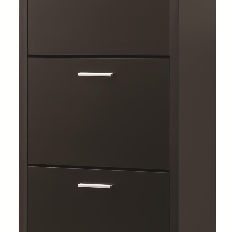 Accent Cabinets Tall 3-Drawer Shoe Cabinet