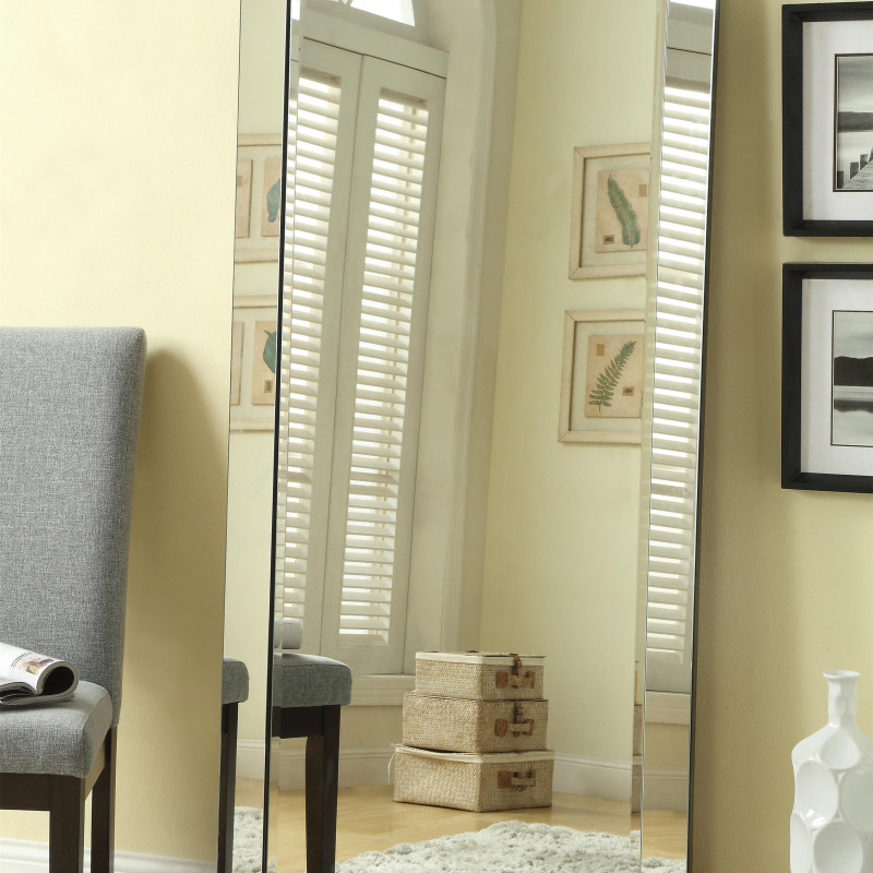 Accent Mirrors Contemporary Floor Mirror with Mirrored Frame